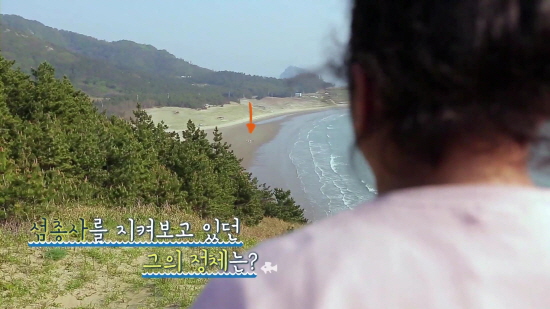 달타냥 이미지