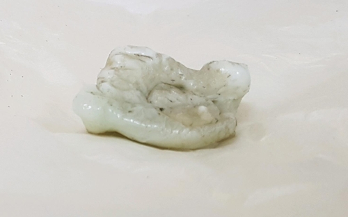 사리 이미지