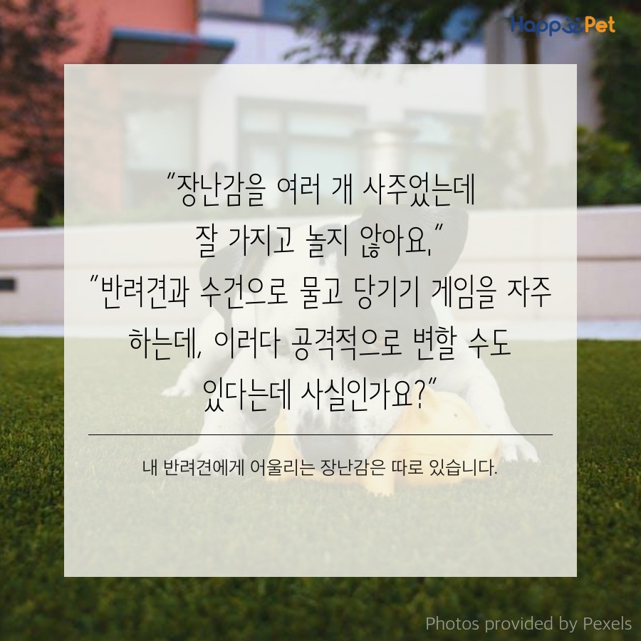 올어바웃펫 이미지