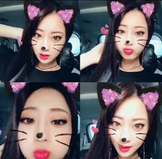 앙큼한고양이 이미지