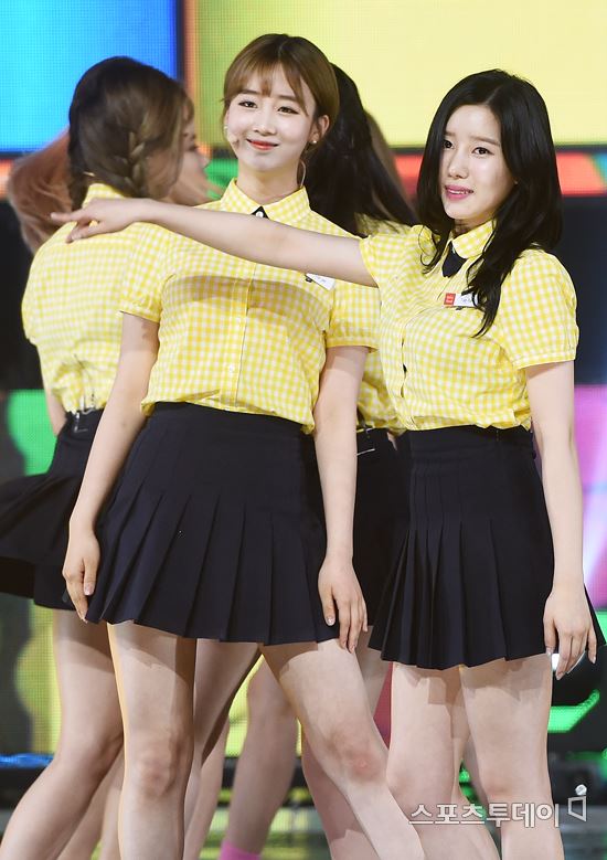 베리 이미지