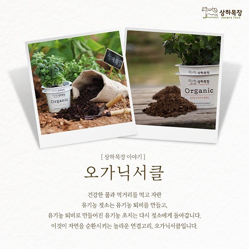 상하 이미지