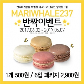 마카롱 이미지