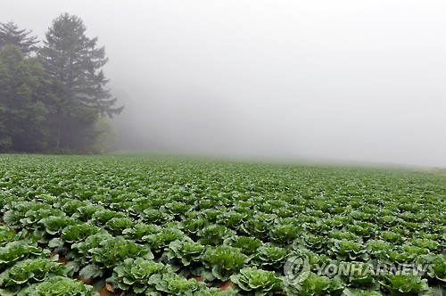 순이용역 이미지