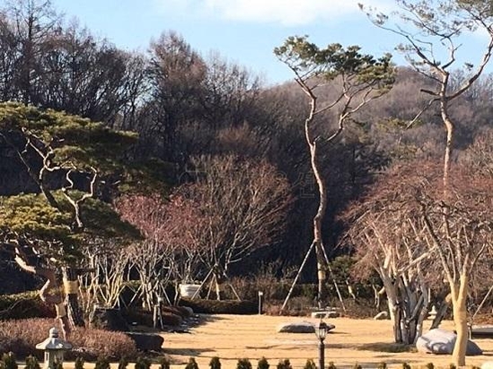 정훈탁 IHQ 대표의 경기 성남시 분당구 대장·하산운동 단독주택지. /지지옥션 제공