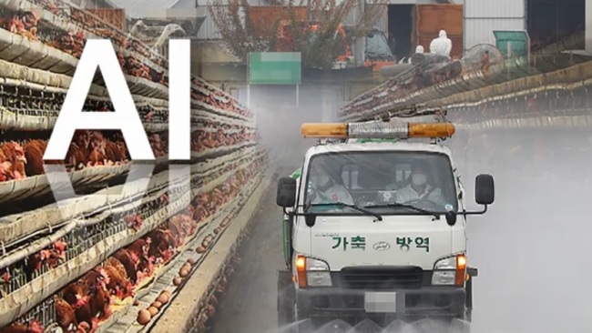 익산토종닭 이미지