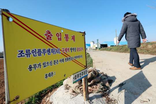 익산토종닭 이미지