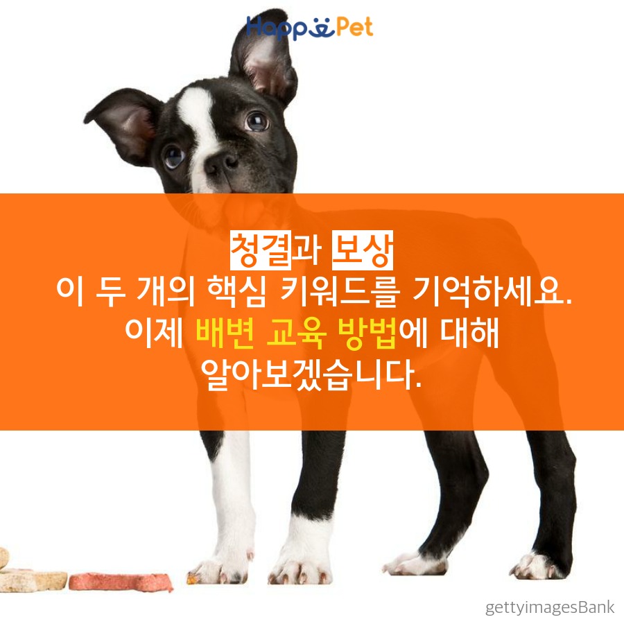 올어바웃펫 이미지