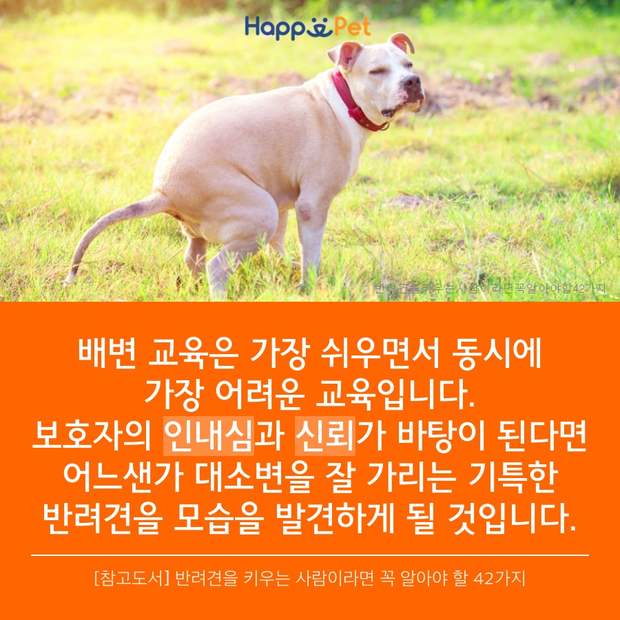 올어바웃펫 이미지