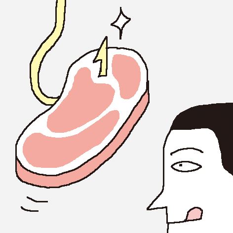 육식 이미지