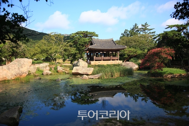 소안 이미지