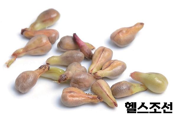 [헬스조선]