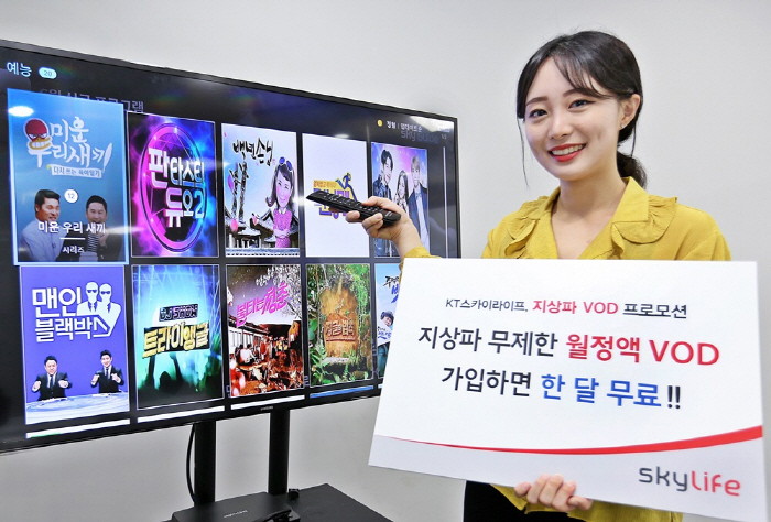 스카이라이프 이미지