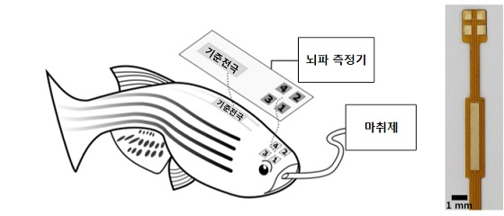 광주수중기술 이미지