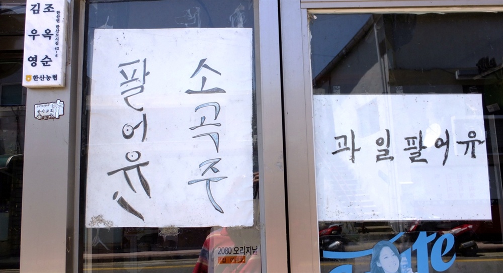 정다움 이미지