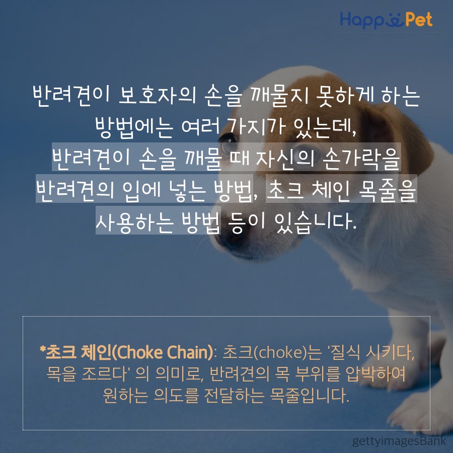 올어바웃펫 이미지