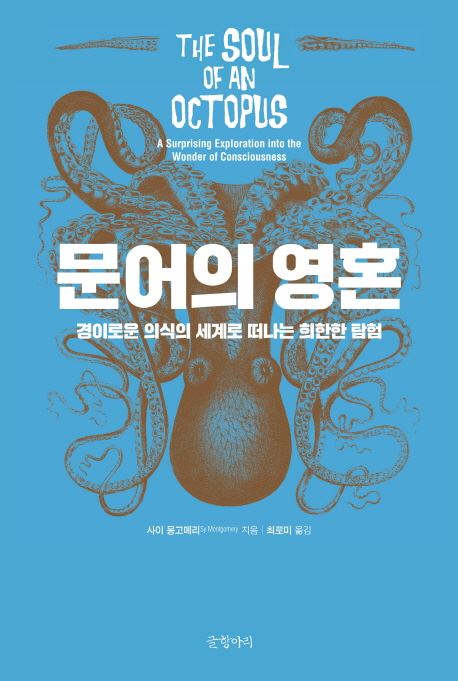 문어사랑 이미지
