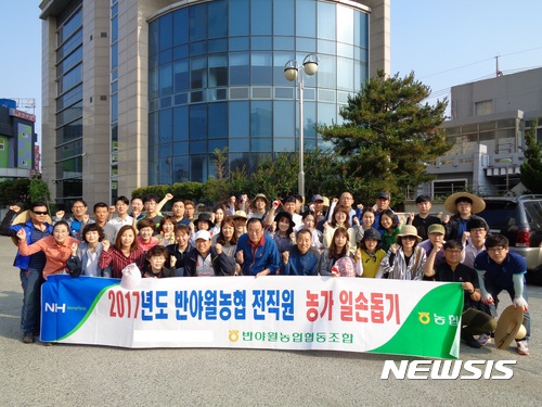 반야월농업협동조합 이미지