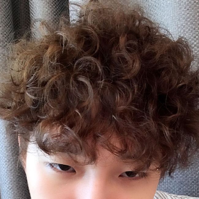 머리자랑 이미지