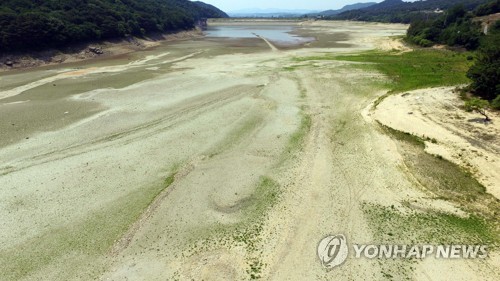 풍전통상 이미지