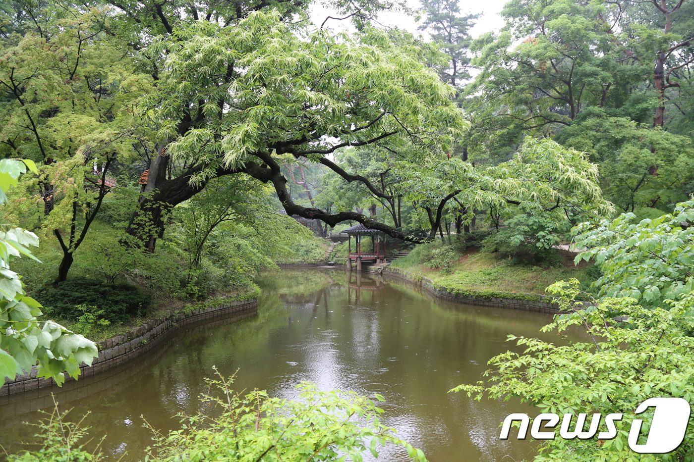 창덕궁 후원. 이하 관광공사 제공  © News1