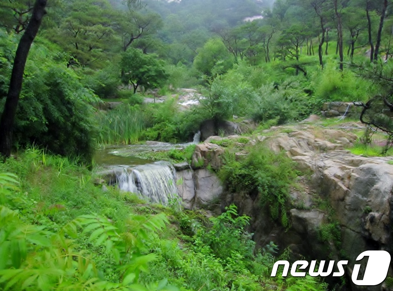 수성동 계곡 © News1