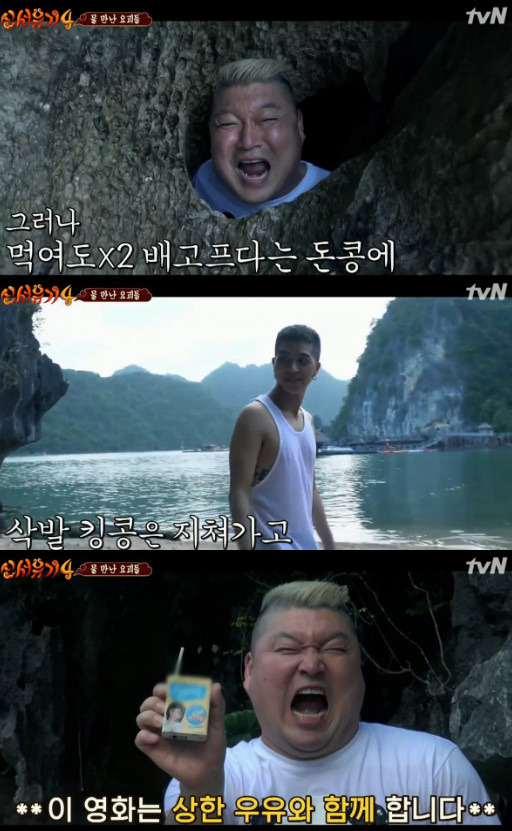돈콩 이미지