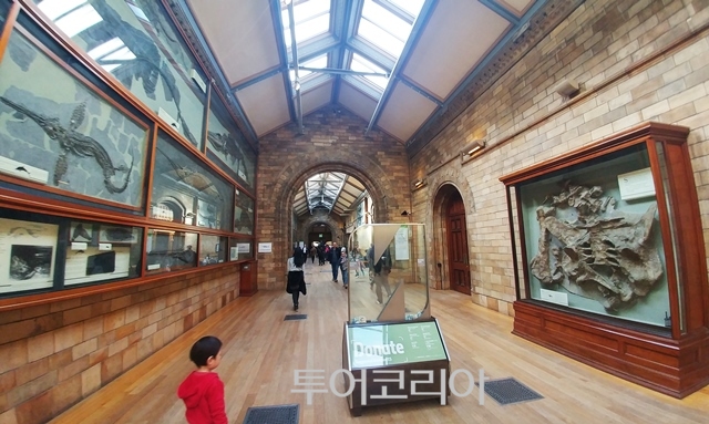 아이로투어 이미지