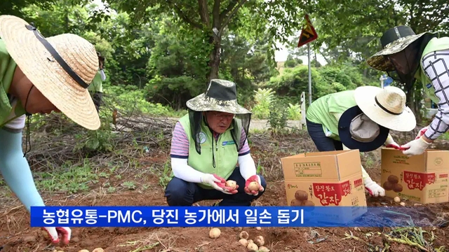 대호지농업협동조합 이미지
