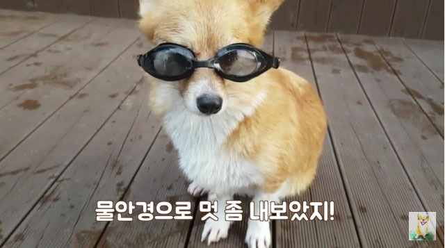 놀자 이미지