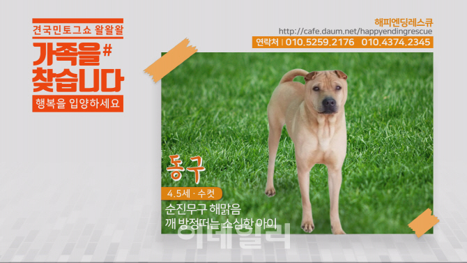 왈왈왈 이미지