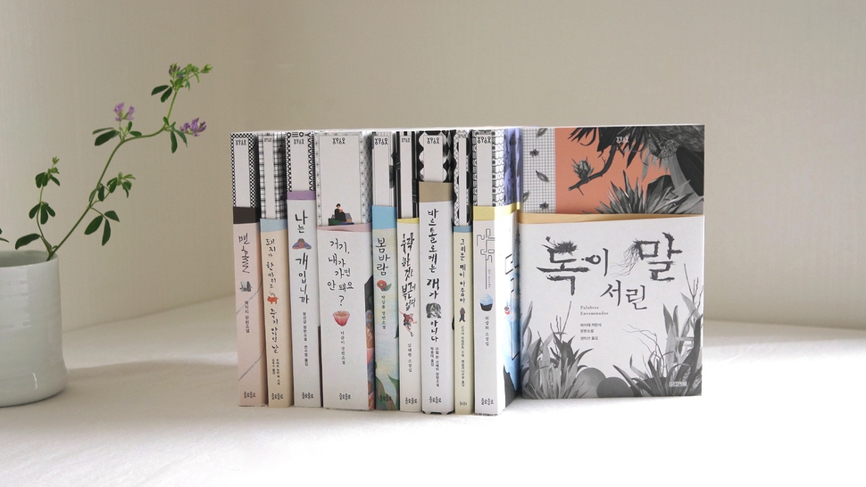 욜로욜로 이미지