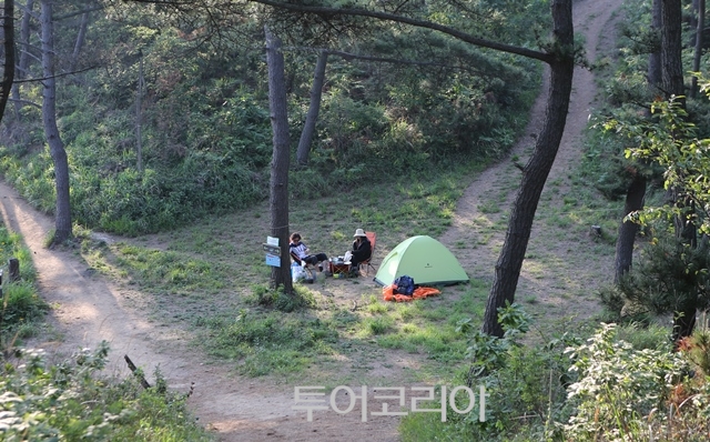 풀향 이미지