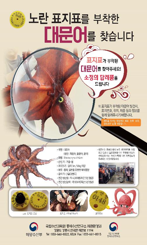 대문수산 이미지