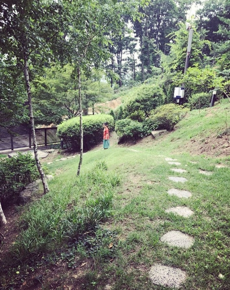 지온숲 이미지