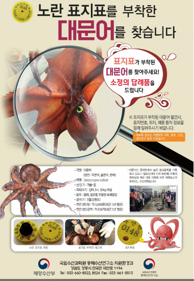 대문수산 이미지