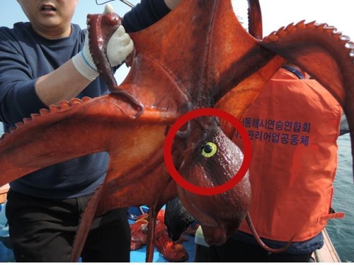 대문수산 이미지