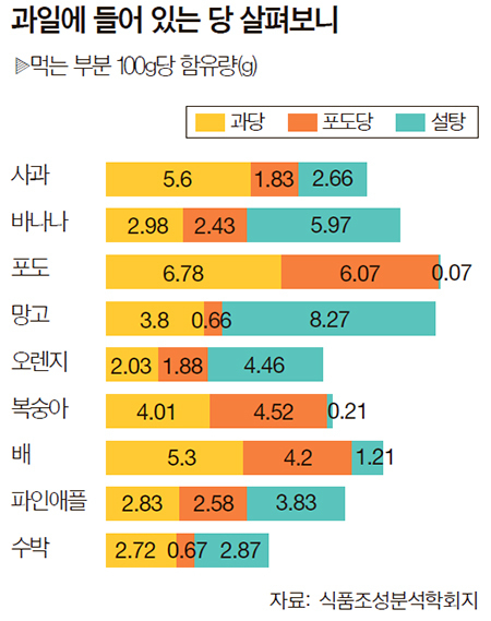 쌍둥이과일 이미지
