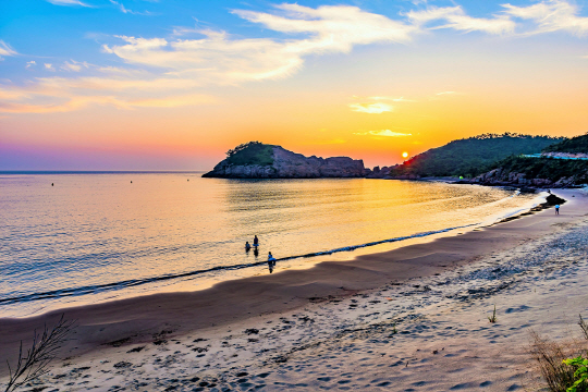 신안군 하의도 등 섬 여행상품 운영