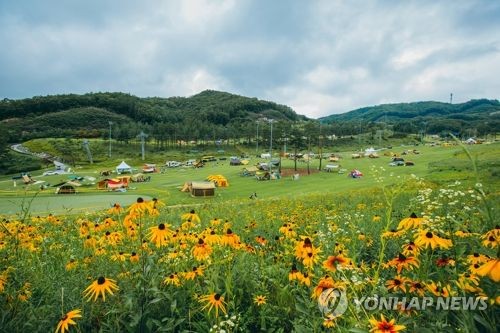 파란캠핑 이미지
