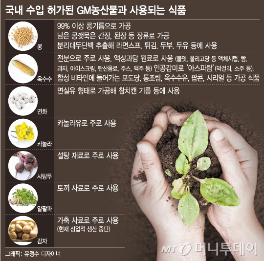 돼지슈퍼 이미지