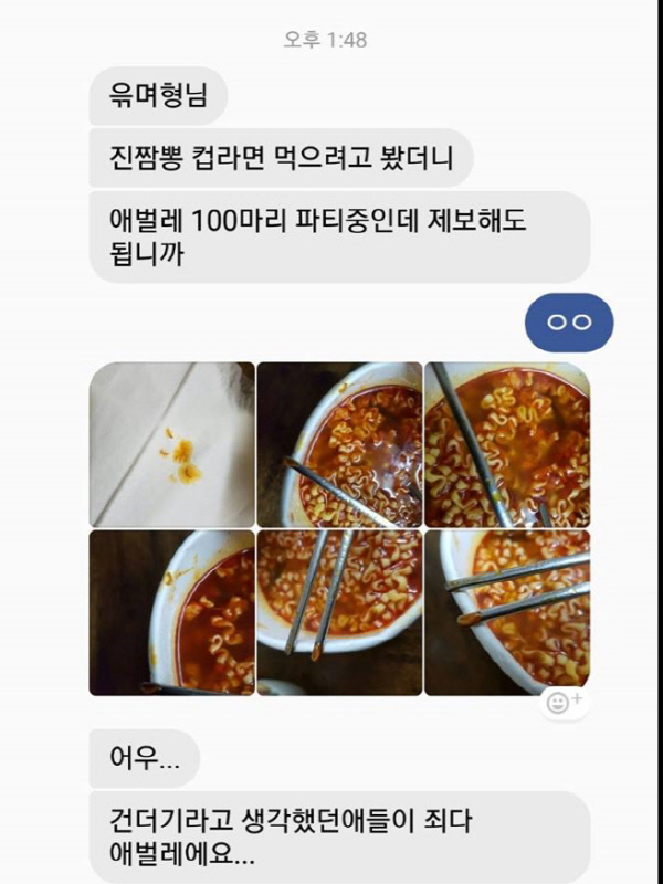 오뚜기유통 이미지