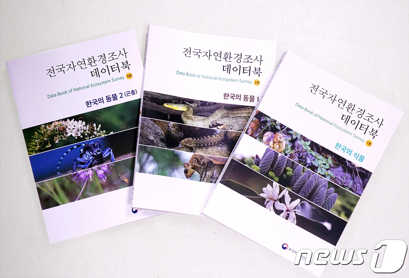 자연환경 이미지