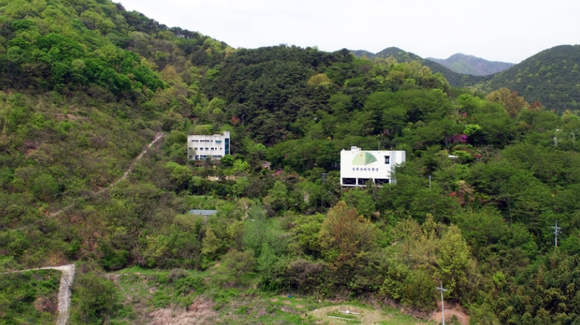 웰니스건강힐링센터 이미지