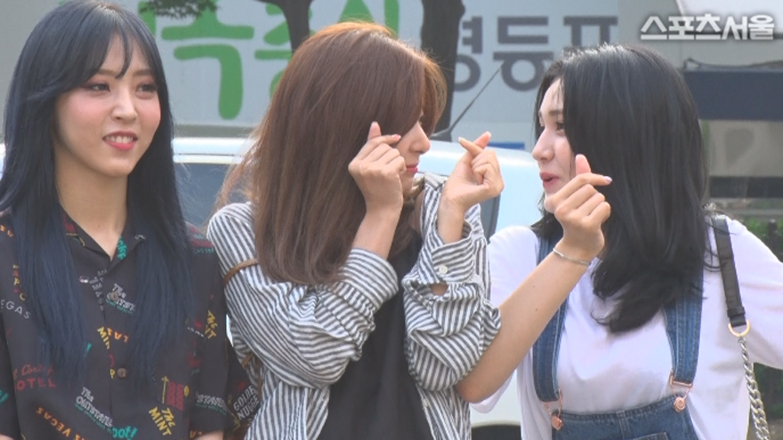 철철뮤직 이미지