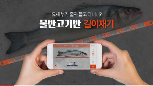 물반고기반 이미지