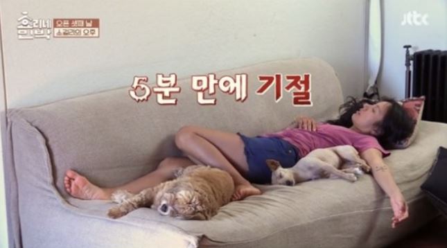 진솔민박 이미지