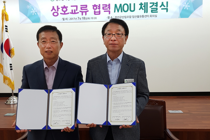 콩이랑 곤드레 이미지