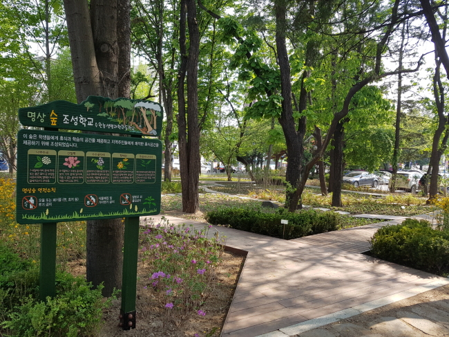 작은숲 이미지