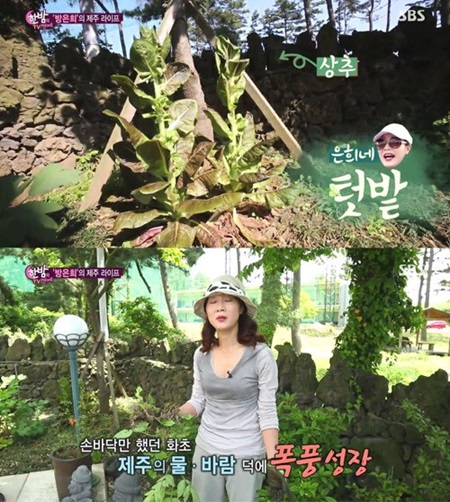 명화민박 이미지